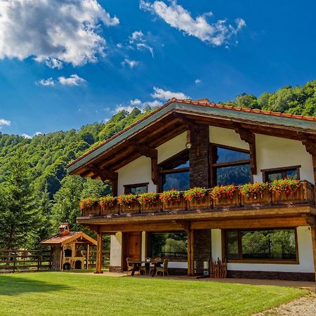 Avalanche Plaiul Foii Villa Zarnesti Ngoại thất bức ảnh