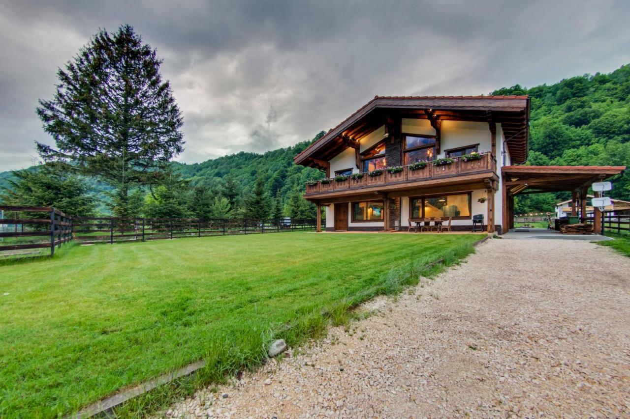 Avalanche Plaiul Foii Villa Zarnesti Ngoại thất bức ảnh